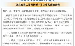 喜訊！沃卡惠獲得“湖北省第二批創(chuàng)新型中小企業(yè)”認(rèn)定